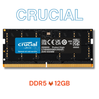 Оперативная память Crucial - DDR5/12GB