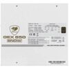Блок питания Cougar GEX 850 SNOW  [31GE085002R01]