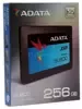 Твердотельный накопитель ADATA 256 Gb SU800 ASU800SS-256GT-C