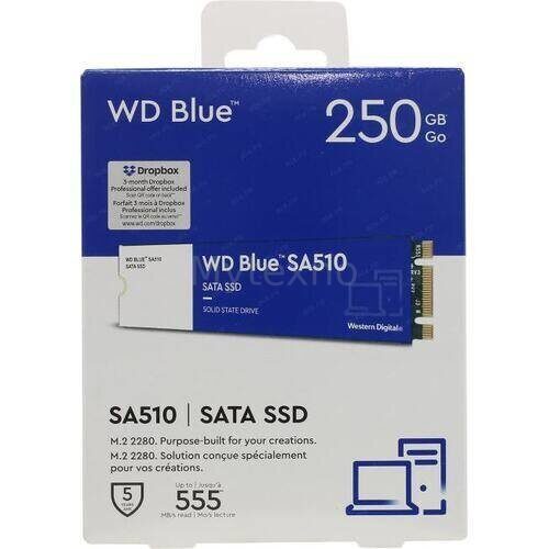 ТвердотельныйнакопительWesternDigital250GbSA510BlueWDS250G3B0B_5