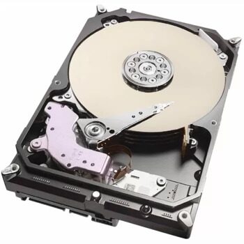 Жесткий диск Seagate 10000 Gb SKYHAWK (ST10000VE001)
