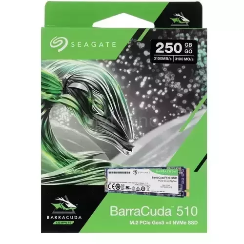 ТвердотельныйнакопительSeagate250GbZP250CM3A001_3