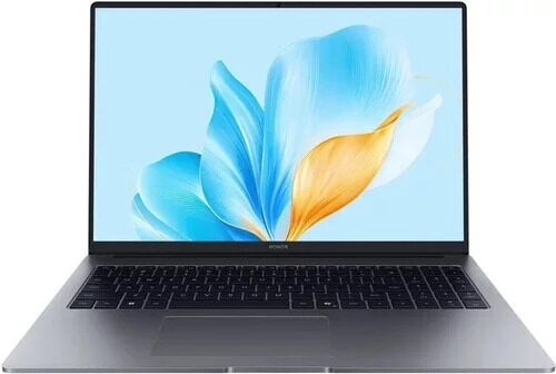 14 Ультрабук Honor MagicBook X14 2025 5301ALWJ/FRG-X серый [5301ALWJ]