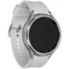 Смарт-часы Samsung Galaxy Watch6 Classic 47mm LTE [SM-R965FZSACAU]