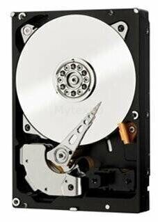 ЖесткийдискWesternDigital4000GbWD4005FZBX_2