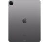 Apple iPad Pro 12,9" M2 256 GB Wi-Fi Space Grey / MNXR3FD/A