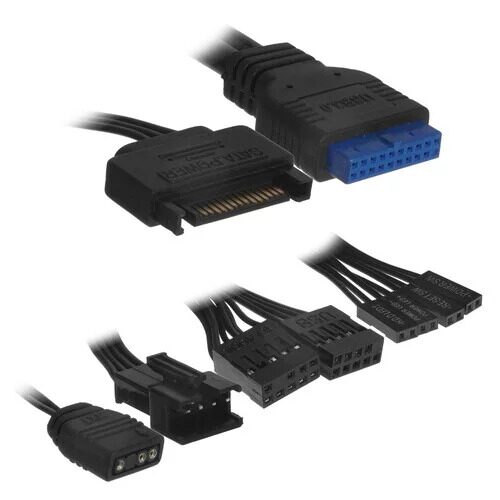 korpuscougarpurityrgb_12_4883282