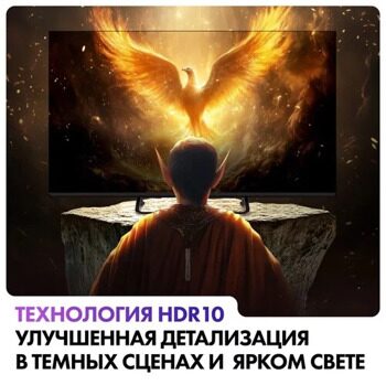 55 (139 см) LED-телевизор EVO TV 55 черный [TD0051754RU]