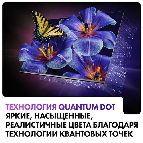 65(165см)LED-телевизорHaier65SmartTVS4серый_11_5436691