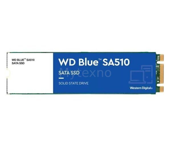 WD 250GB M.2 SATA SSD синий SA510 / WDS250G3B0B