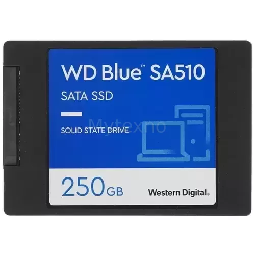 ТвердотельныйнакопительWesternDigital250GbBlueWDS250G3B0A_1