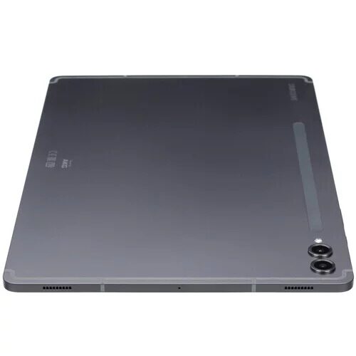 124plansetsamsunggalaxytabs9+5g256gbseryj+stilus_8_5425472
