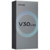 6.67 Смартфон Vivo V30 Lite 4G 128 ГБ черный