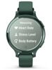 Смарт-часы Garmin Lily 2 Active