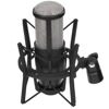 Микрофон AKG P420 черный
