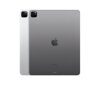 Apple iPad Pro 12,9" M2 256 GB Wi-Fi Space Grey / MNXR3FD/A