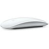 Мышь Apple Magic Mouse (MK2E3ZA(AM)/A)