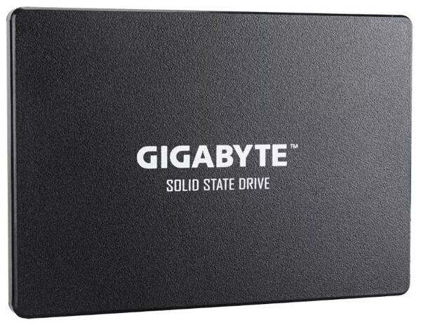 ТвердотельныйнакопительGigabyte256GbGP-GSTFS31256GTND_2_45020