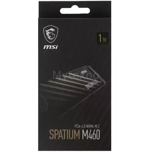 ТвердотельныйнакопительMSI1000GbSPATIUMM460S78-440L930-P83_4