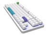 Клавиатура проводная Red Square Alumix TKL Simple White  [RSQ-20050]