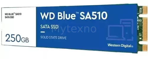 ТвердотельныйнакопительWesternDigital250GbSA510BlueWDS250G3B0B_1