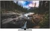 65" (165 см) OLED-телевизор Haier 65 OLED S9 Pro черный