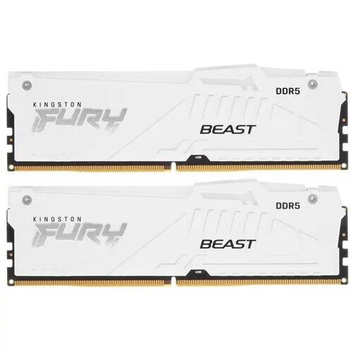 operativnaapamatkingstonfurybeastamdrgbwhite_1_5406690
