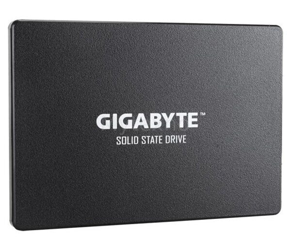 Gigabyte256GB25SATASSDGP-GSTFS31256GTND_1