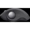 Трекбол Logitech MX Ergo Black (910-005182)