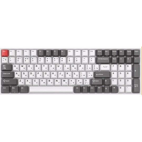 КлавиатураRoyalKludgeRK100WhiteGrey(RedSwitch)_1