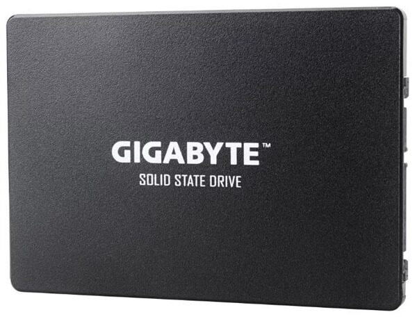 Твердотельный накопитель Gigabyte 256 Gb GP-GSTFS31256GTND