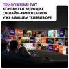 43 (109 см) LED-телевизор Haier 43 Smart TV S2 черный [DH1VYKD00RU]