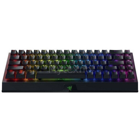 КлавиатураRazerBlackWidowV3Mini(GreenSwitch)_1