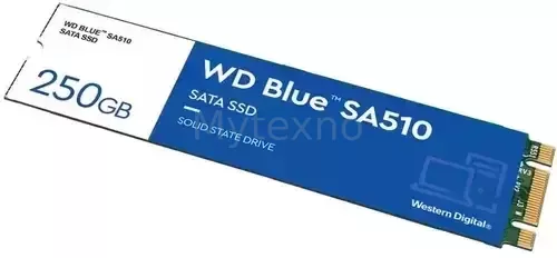 ТвердотельныйнакопительWesternDigital250GbSA510BlueWDS250G3B0B_2